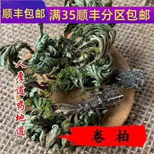 精选 中药材 卷柏 不死草 还阳草 50g 可打粉 无硫熏满包邮