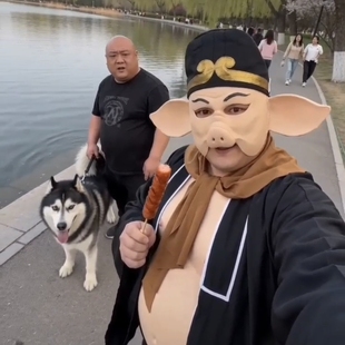 猪八戒服装全套西游记师徒四人道具脚色扮演背媳妇二师兄cos演出