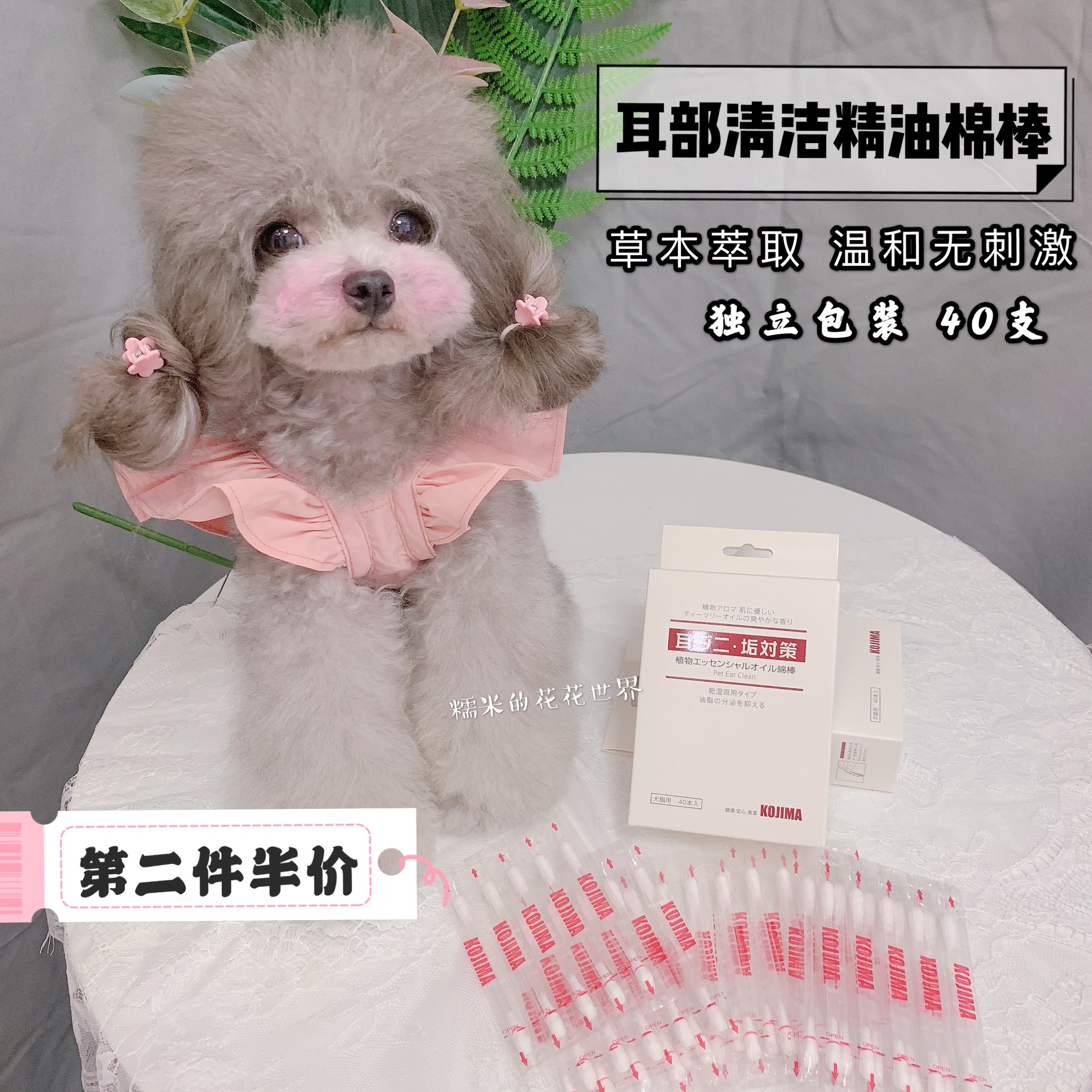 KOJIMA宠物洁耳棉签自