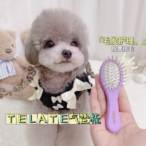 气垫按摩护理泰迪宠物美容