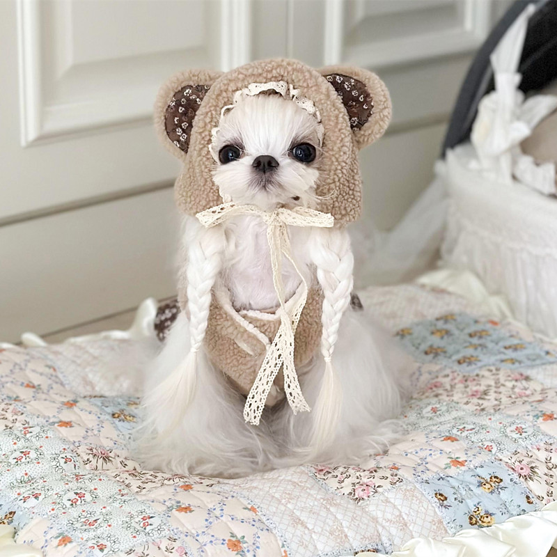 ins风可爱小熊帽子加绒保暖拍照