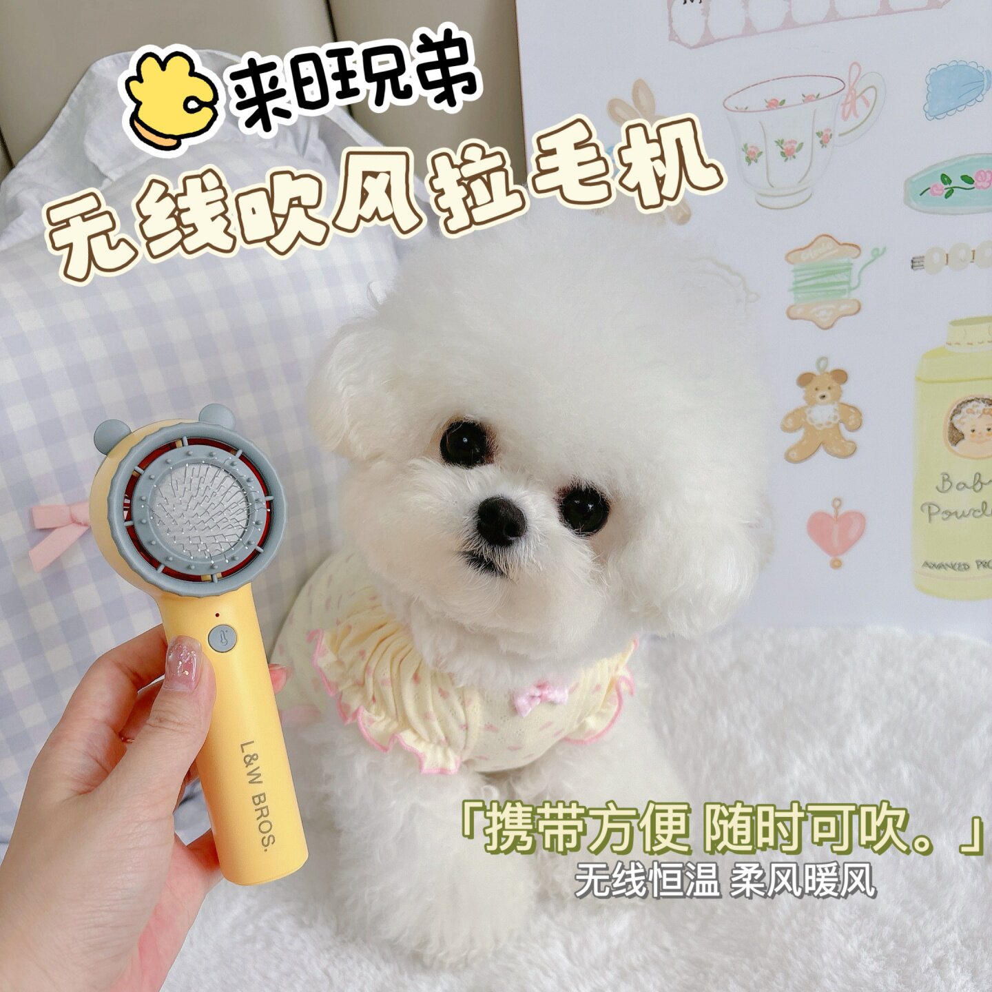 宠物狗无线吹风机比熊泰迪嘴毛迷你面部脸部吹干局部拉毛梳小型犬