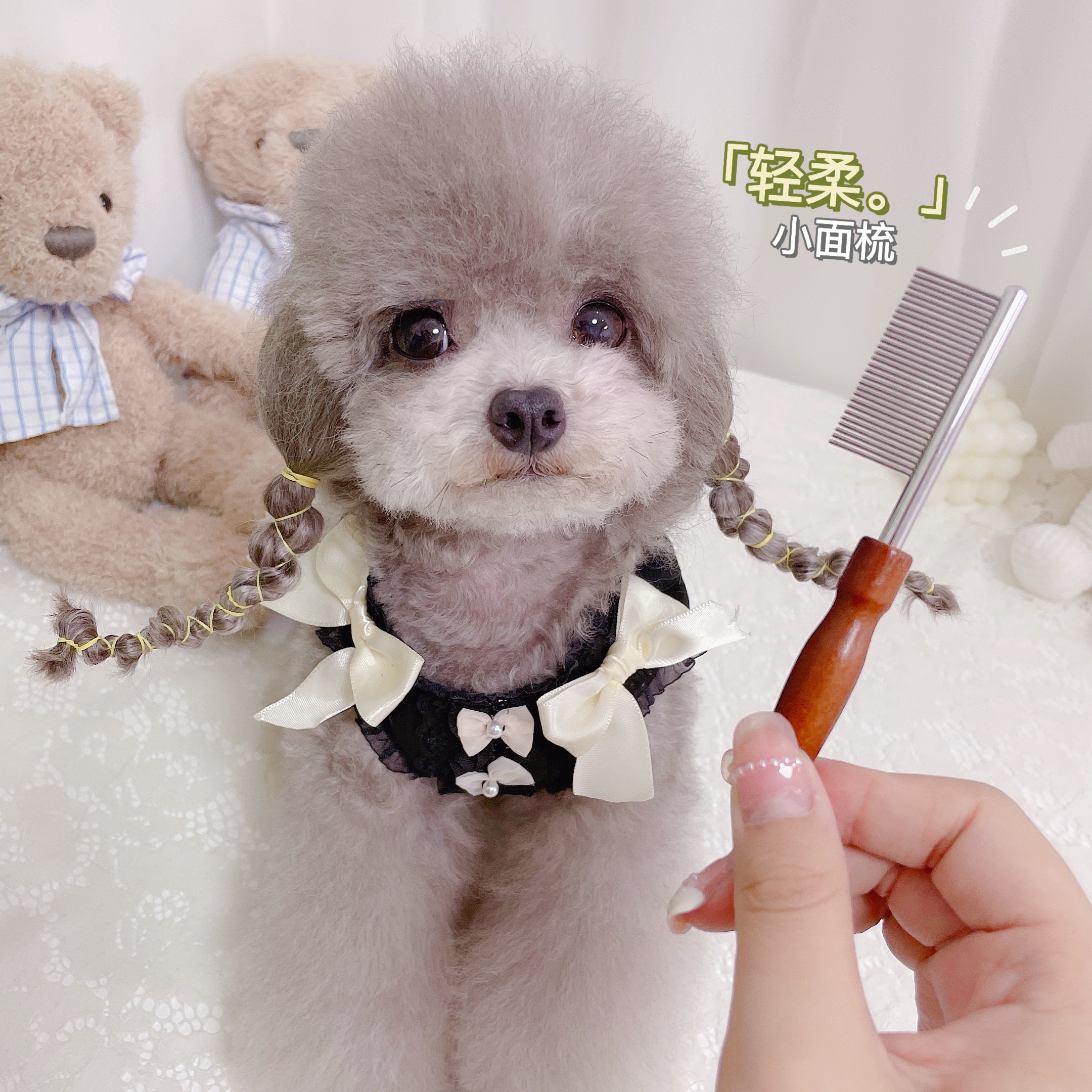 糯米家宠物猫咪密齿脸部排梳