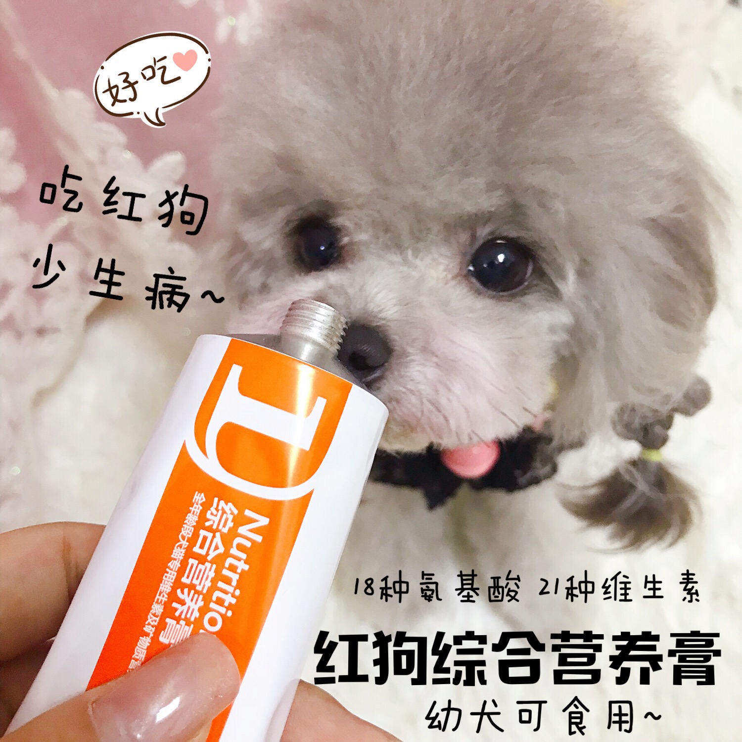 红狗营养调理肠胃幼犬营养增免疫