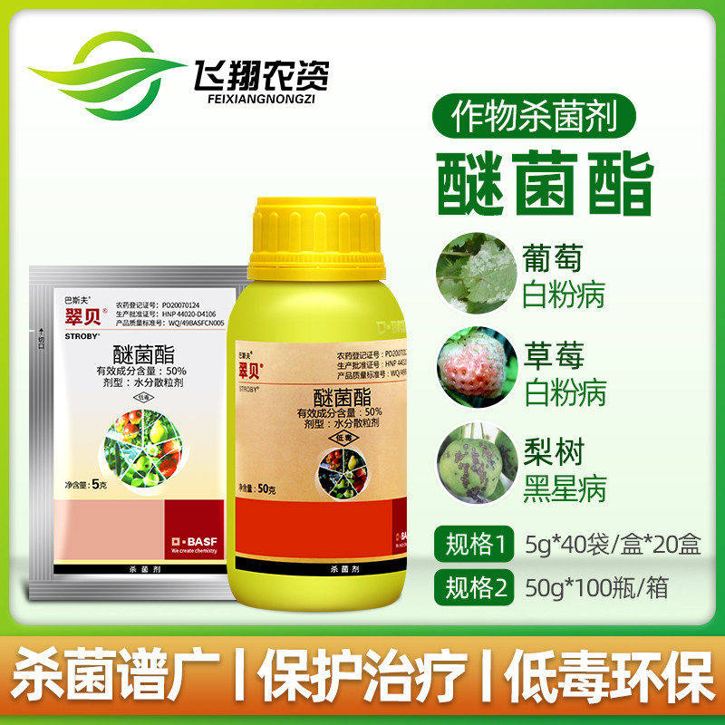 巴斯夫翠贝醚菌酯植物花卉月季黑斑白粉病黑星病锈病农药杀菌剂