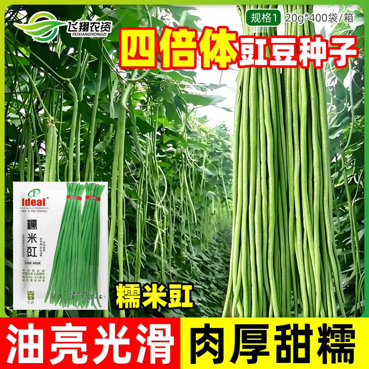 豇豆种子蔬菜种籽四倍体豇豆大肉糯米搭架长豆角种籽大全蔬菜种孑