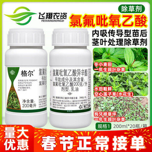 国光格尔20%氯氟吡氧乙酸小麦水稻田草坪一年生阔叶杂草除草剂