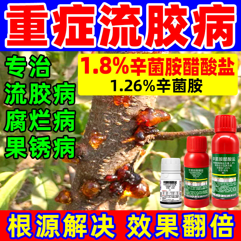 桃树流胶病专用药樱桃杏树李子果树溃疡病辛菌胺醋酸盐农药杀菌剂