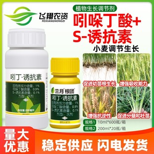 兰月根团 1%吲哚丁酸诱抗素小麦抗逆壮根分蘖壮苗植物生长调节剂