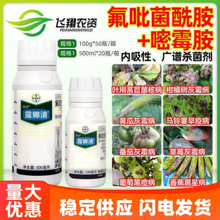 德国拜耳露娜清氟吡菌酰胺嘧霉胺草莓灰霉病黑痘菌核病农药杀菌剂