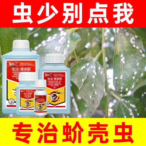 吡虫啉噻嗪酮果树柑橘蚧壳虫介壳虫内吸触杀胃毒南伯一农药杀虫剂