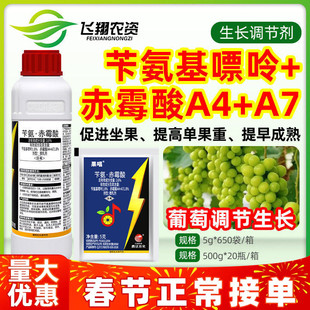 曹达果唱3.6%苄氨基嘌呤赤霉酸葡萄坐果膨果催熟植物生长调节剂