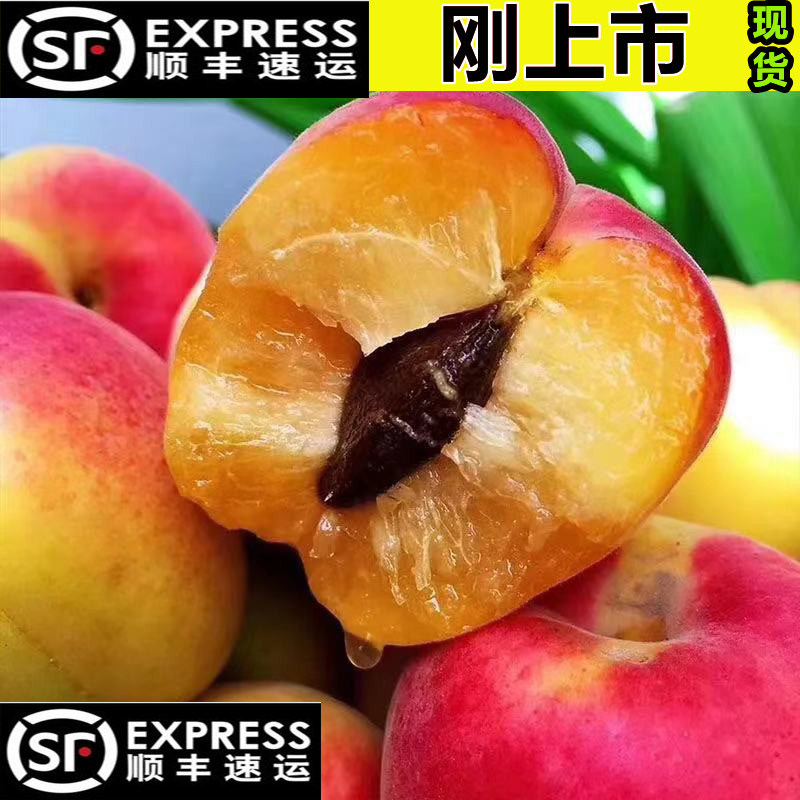 陕西贵妃红杏甜核杏子新鲜水果头茬现摘甜杏儿自然熟孕妇大红杏