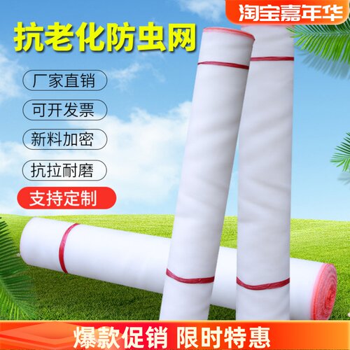 果园白色蔬菜大棚防虫网农用庭院