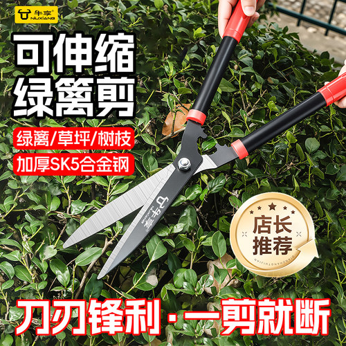 绿篱剪刀花木修枝果树园林大剪刀