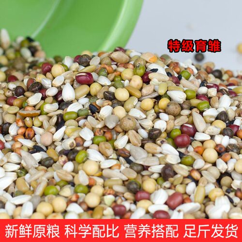 天津佳翔特级育雏鸽粮鸟食鸽子粮赛鸽信鸽5斤10斤40斤包邮