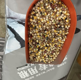 鸽粮鸽子粮赛鸽普通营养粮鸽粮无玉米精品鸽粮有玉米鸽粮