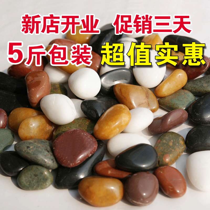 精品鹅卵石雨花石天然小石造景花盆鱼缸装饰盆栽园艺彩石头 5斤装