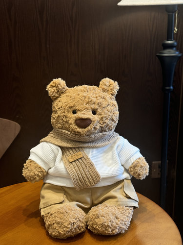 巴塞罗熊衣服秋冬新款圣诞衣服圣诞围巾秋冬装针织毛衣娃衣不含熊