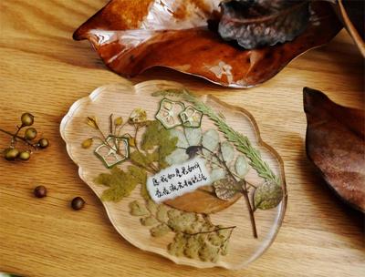 清新小众创意滴胶标本杯垫 装饰复古伴手礼压花植物礼品拍摄道具