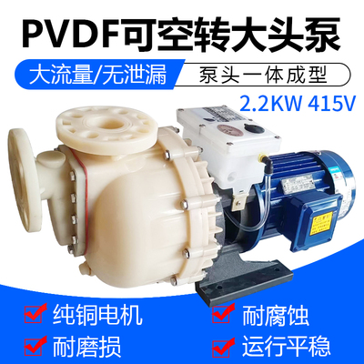 胜川宝PVDF铁氟龙大头泵