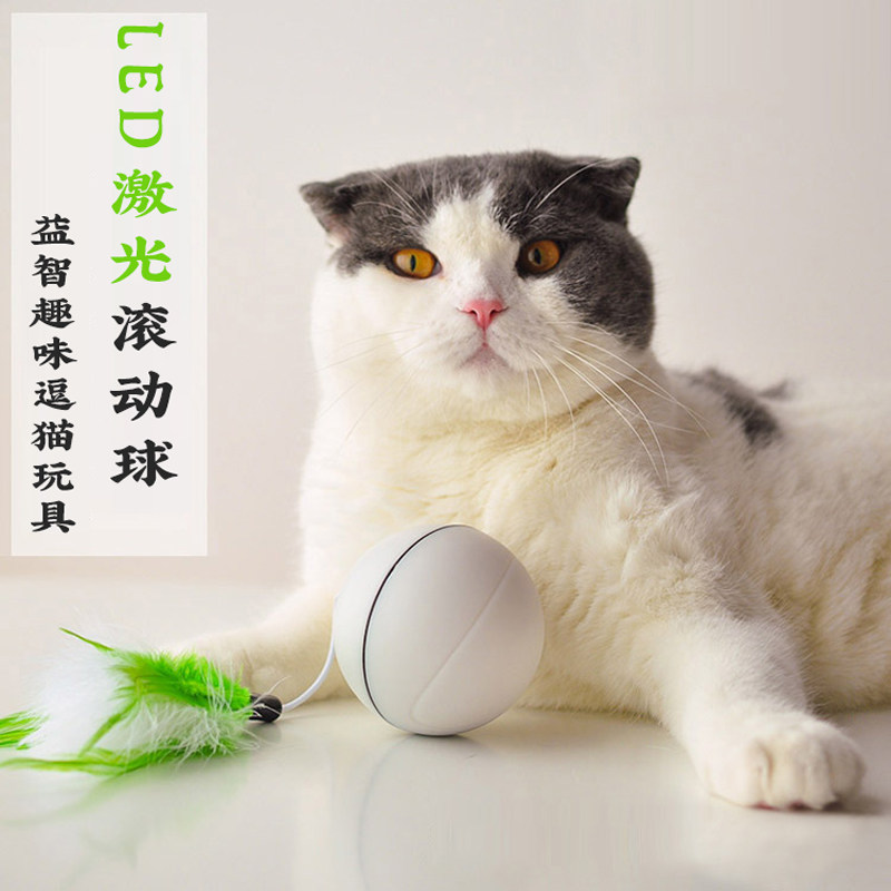 电动逗猫棒 USB充电发光小鸟不倒翁自动闪光逗猫球激光益智能玩具