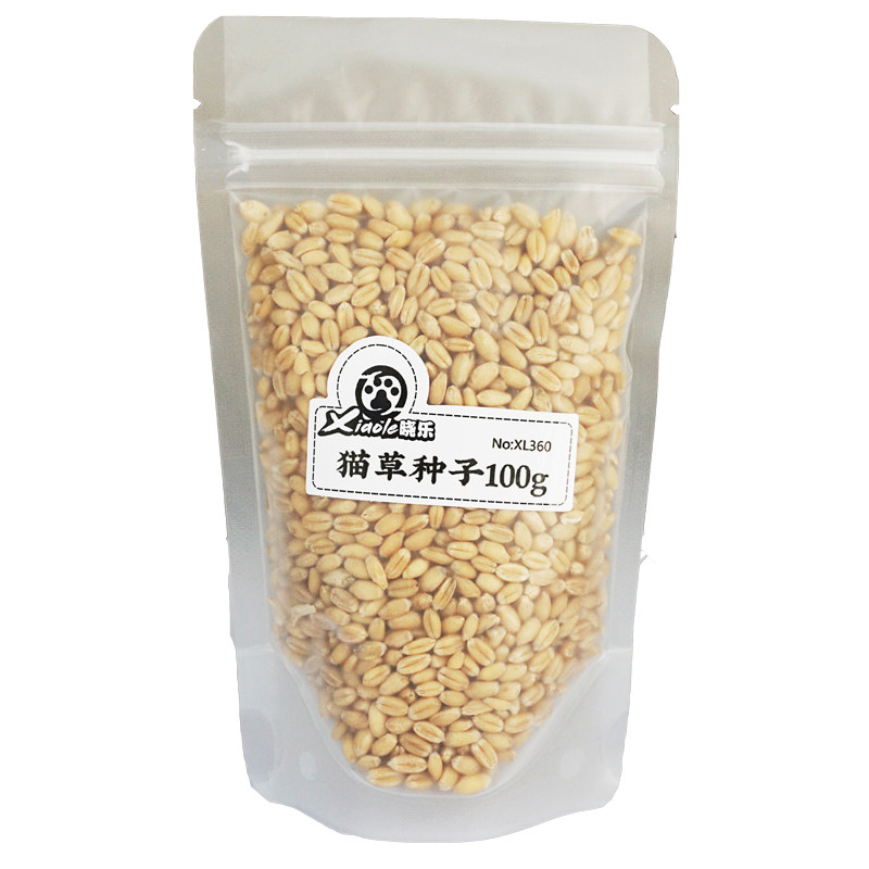 晓乐小麦猫草种子100g种籽无土水培种植猫咪吃的去毛球助消化猫草在类目 宠物/宠物食品及用品, 猫零食中 - 来自Buy2taobao.com提供专业的淘宝代购服务