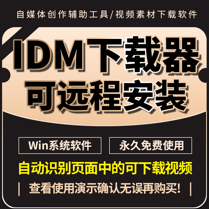 IDM视频下载软件网页视频下载器永久使用免费不限速远程协助安装 商务/设计服务 设计素材/源文件 原图主图