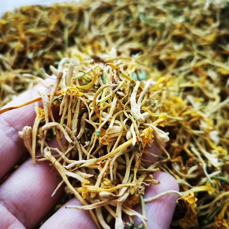 大叔特别推荐　云南当地野外生长金银花50克（新货）