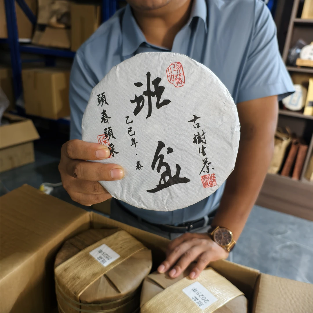 2025年头春原料班盆老寨（接壤老班章）茶普洱生茶饼357克7饼