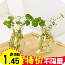 Sangles pour lingerie C056 - Ref 805934 Image 31