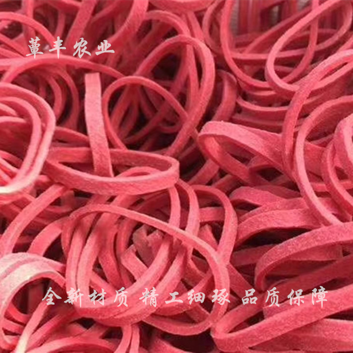 食用菌皮筋出菇圈专用皮筋橡胶圈