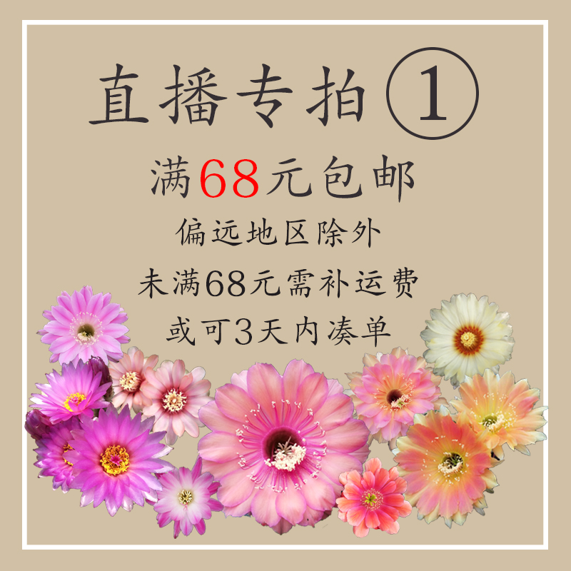 68元包邮