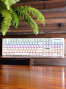 适用于微星（MSI) VIGOR GK50Z V2 白色 青轴台式电竞键盘 库存