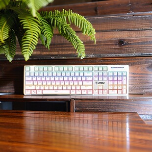 适用于微星（MSI) VIGOR GK50Z V2 白色 青轴台式电竞键盘 库存