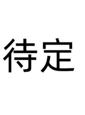 追觅S20系列扫地机器人扫吸拖一体全自动清洗烘干集尘S20ProPlus