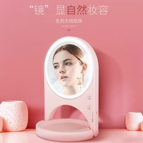 北欧ins多肉花盆陶瓷化妆镜