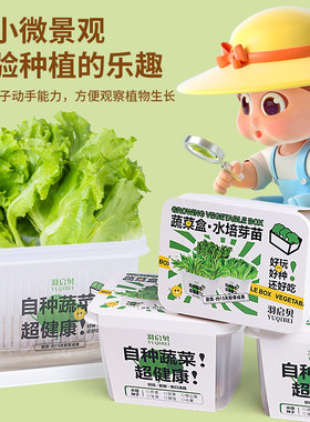 儿童绿植小盆栽植物发芽生长种植蔬菜水培观察种子小学生蔬菜盒子