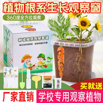 学校指定科学实验作业