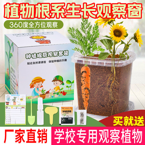 学校老师推荐胡萝卜生长观察盒