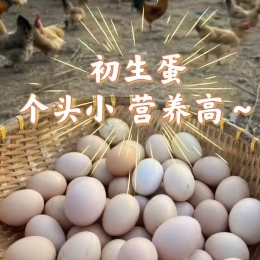 广西农家散养土鸡初生蛋新鲜五谷杂粮走地鸡蛋孕妇孩子营养初生蛋