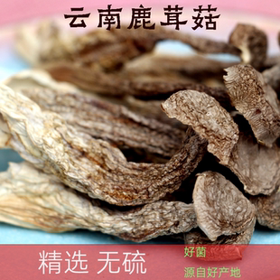 鹿茸菇干货煲汤食材料菌菇新鲜云南脆脆菇鹿茸菌子特产干蘑菇香菇