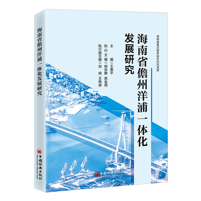 海南省儋州洋浦一体化发展研究