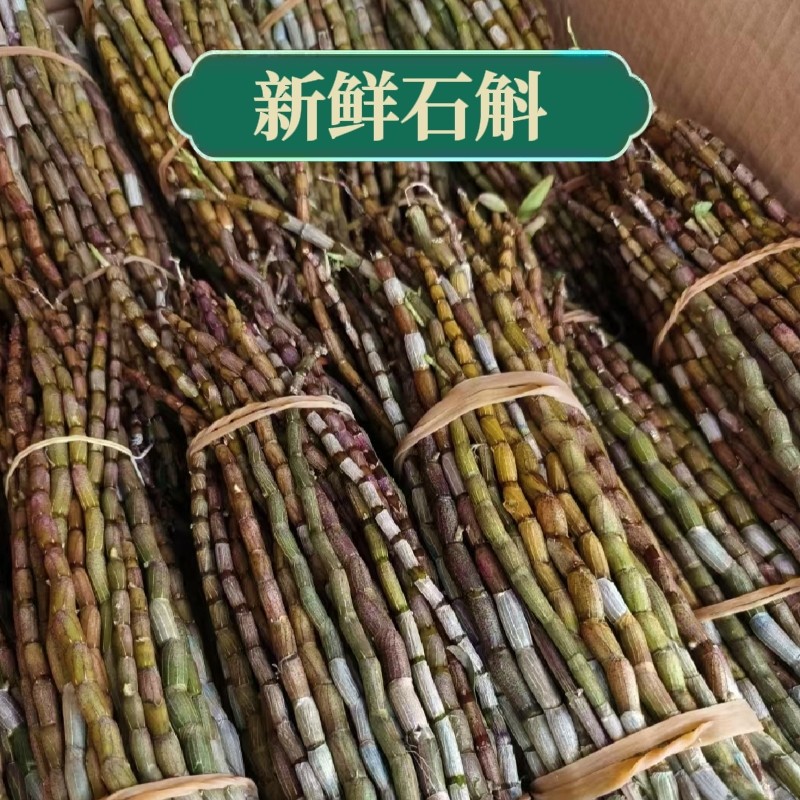 正品铁皮石斛鲜条500g中药材枫斗三四五年生基地批发霍山石斛鲜条