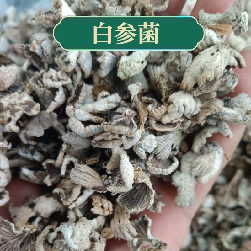 云南白参菌干货 250克农家自晒特产裂褶菌白花白参沙参树花