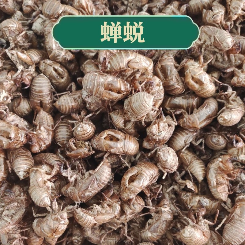 蝉蜕 50克蝉脱中药材 蝉蜕壳蝉壳蝉衣蝉皮蝉退虫退知了壳皮