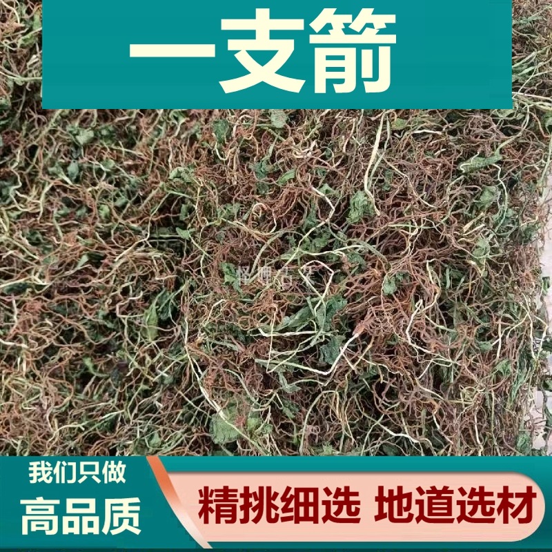 一支箭 一枝箭云南中草药材一支箭蛇须草蛇咬子青藤新鲜干货包邮