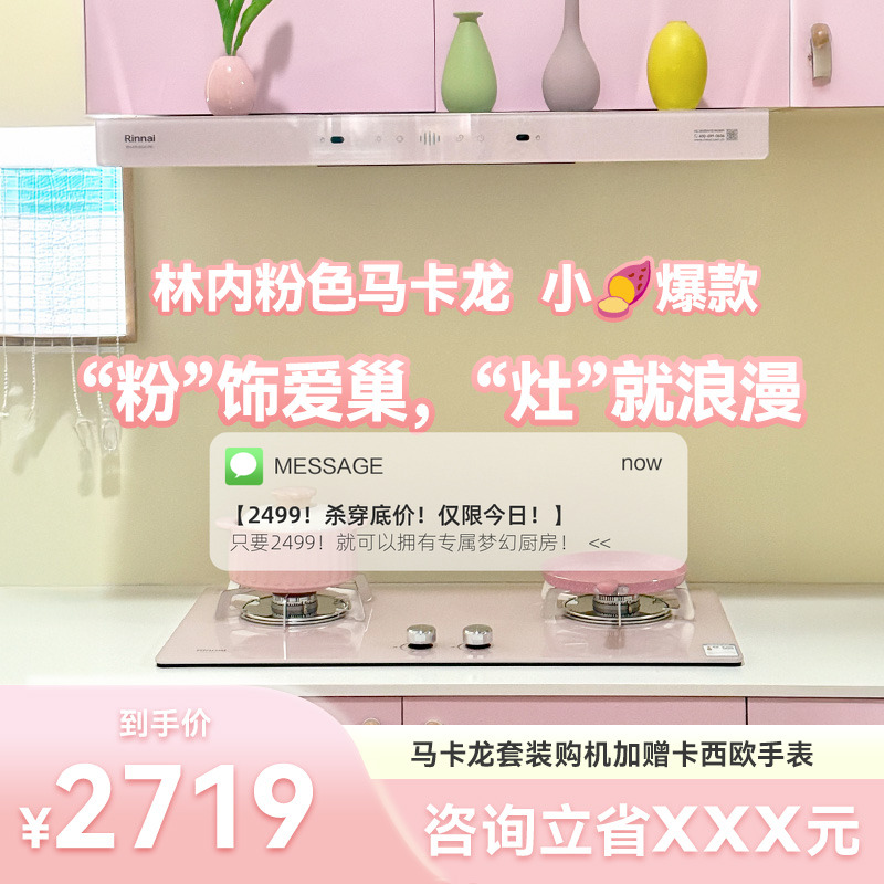 【小红书同款】林内马卡龙粉烟机