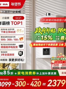 [小蛮腰恒温]林内燃气热水器家用天然气安全洗澡官方13升16升GC21