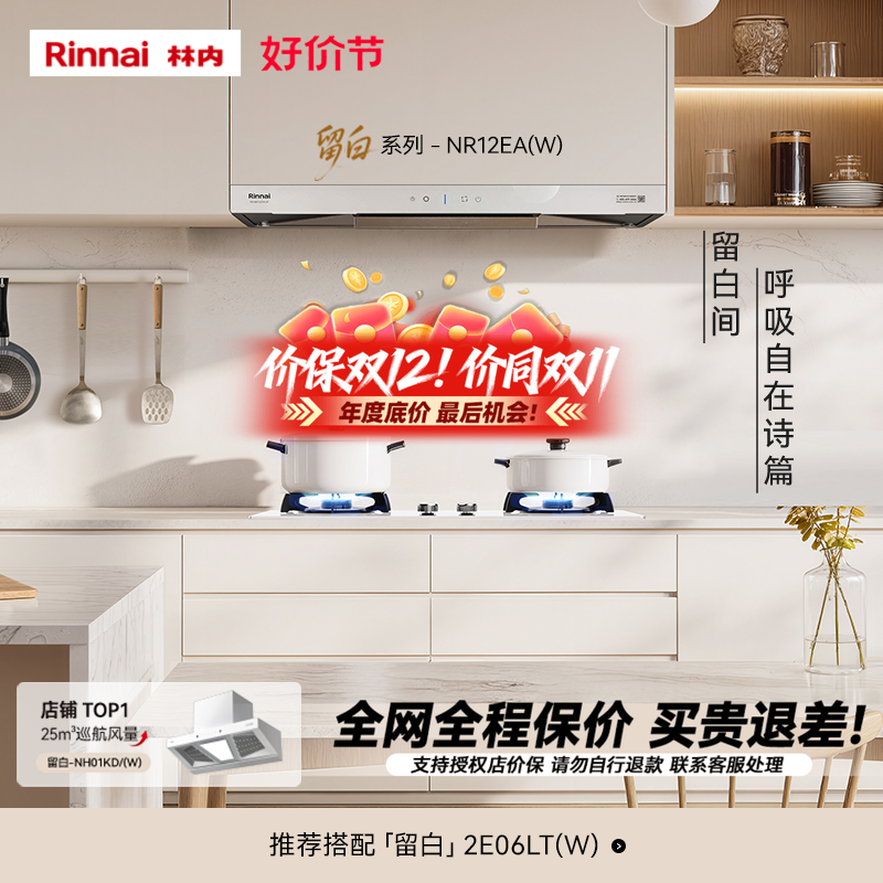林内留白欧式顶吸油烟机12EA